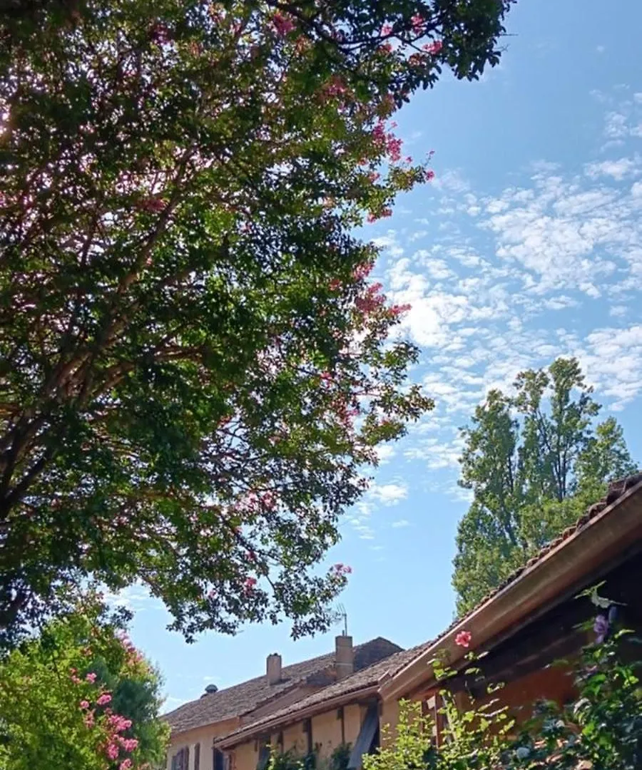 Bed and Breakfast Le Moulin Du Comte Bourrouillan